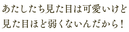 あたしたち見た目は可愛いけど 見た目ほど弱くないんだから！